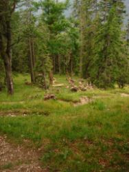 2013-08-25_Risserkogel (252).JPG